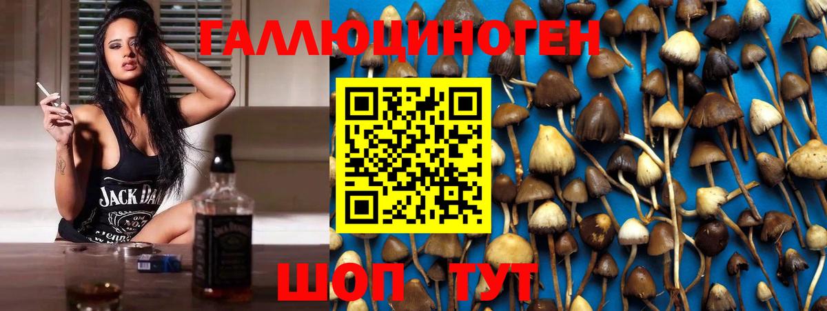 Галлюциногенные грибы Cubensis Волоколамск